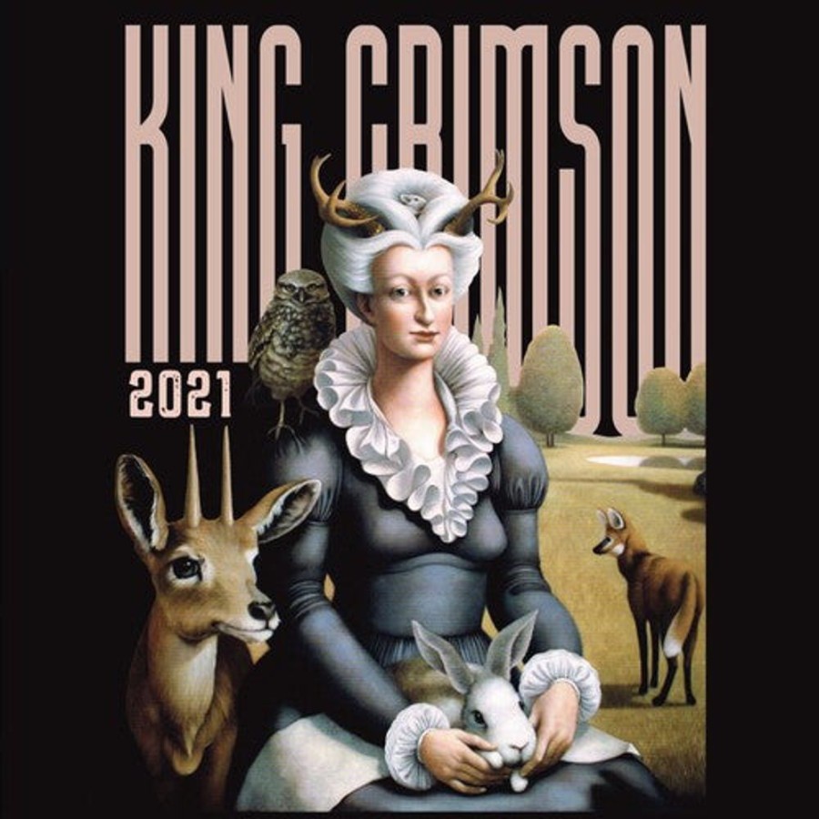 MeTV Entertainment Music Is Our Friend: Live In Washington D.C. & Albany (Cd) - King Crimson | Cds