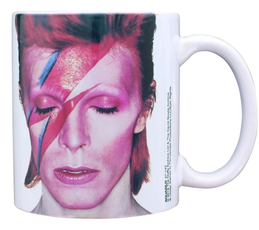 Toynk David Bowie Aladdin Sane 11Oz Boxed Ceramic Mug | Drinkware