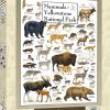 Toynk Mammals Of Yellowstone National Park 1000 Piece Linen Jigsaw Puzzle | Puzzles