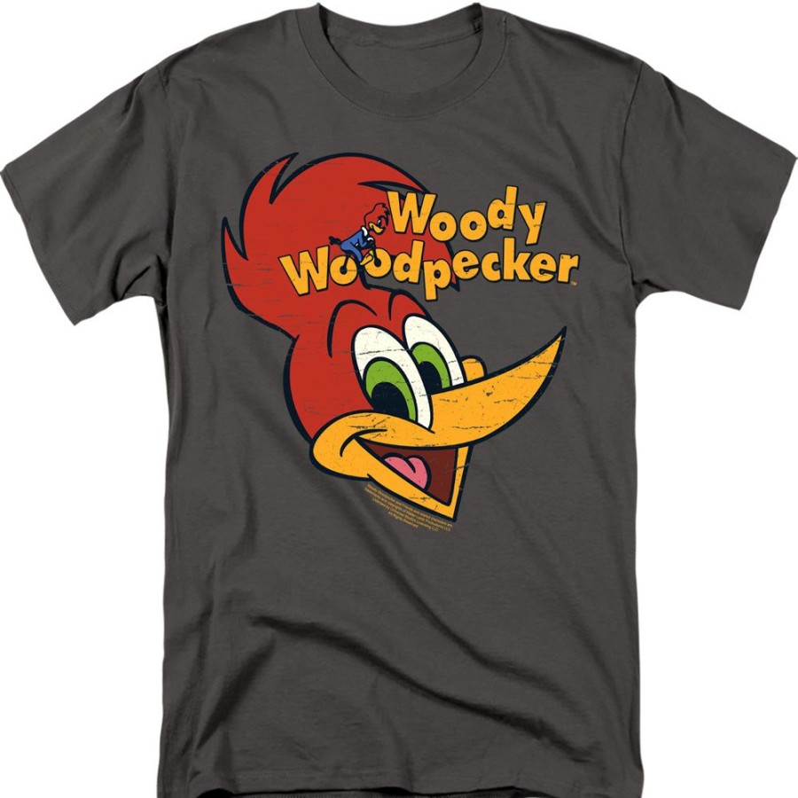 MeTV Custom Classics Woody Woodpecker - Retro Logo | Woody Woodpecker