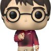 Toynk Harry Potter 20Th Anniversary Funko Pop Vinyl Figure | Harry W/ The Stone | Funko Pops!